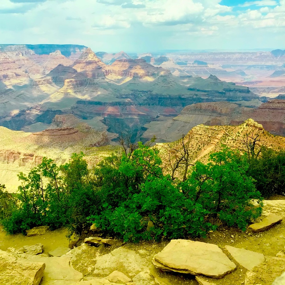 Meet your Posher, Addison